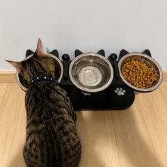 Premium 3-Bowl Raised Feeding Stand with Non-Slip Mat