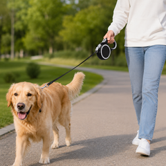 PETORO™ Premium Retractable Dog Leash with LED Light