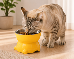 PETORO™ Raised Cat Food & Water Bowl